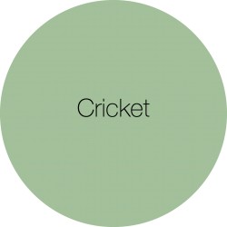 Cricket - Earthborn Clay Paint 
